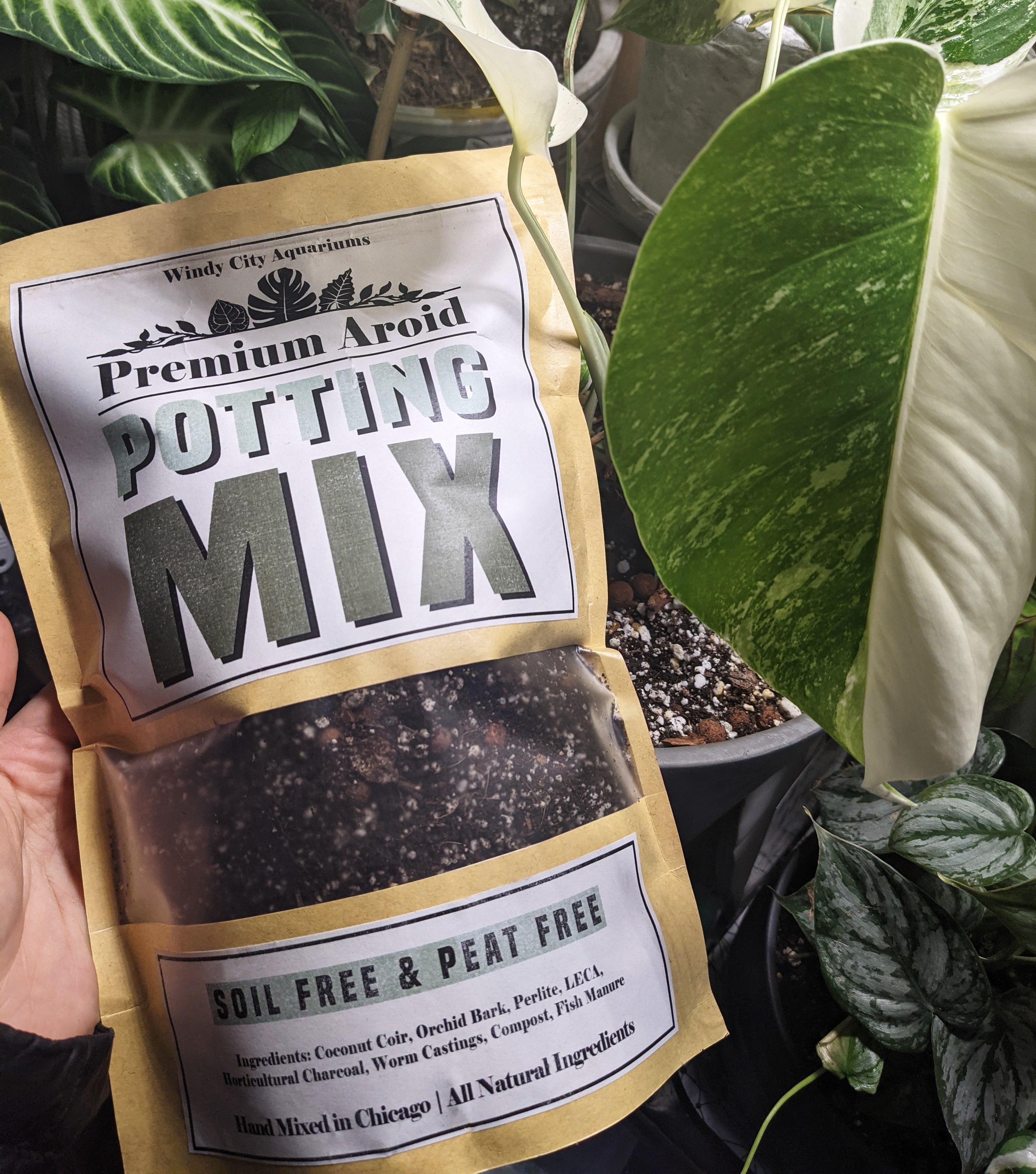 perlite free potting mix Premium Aroid Potting Mix | Soil & Peat Free