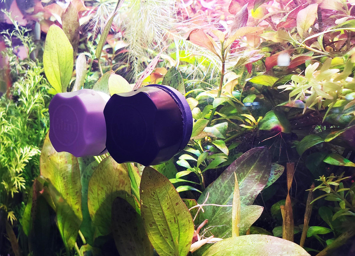 Aquarium Dry Goods Windy City Aquariums