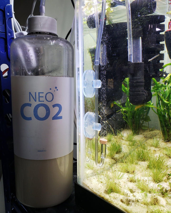 Aquario Neo CO2 - DIY CO2 Kit - Windy City Aquariums