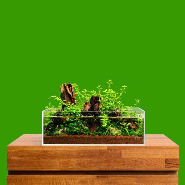 UNS Ultra Clear Low-Iron Rimless Aquariums - Windy City Aquariums