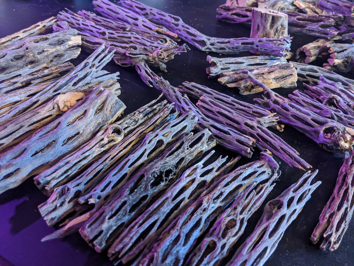 Cholla Wood Natural Wood for Aquariums Windy City Aquariums