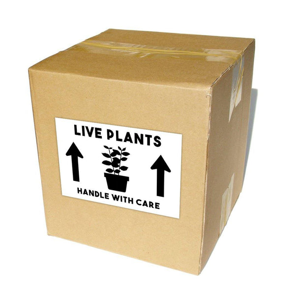 Live Plants Shipping Labels 4x6" - Windy City Aquariums
