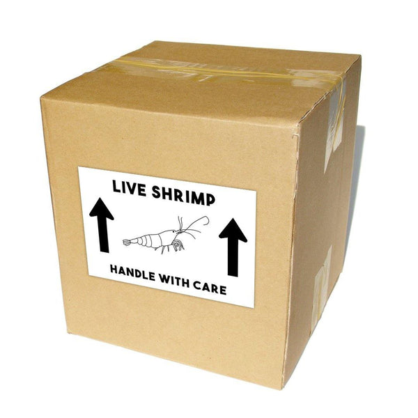 Live Shrimp Shipping Labels 4x6" - Windy City Aquariums
