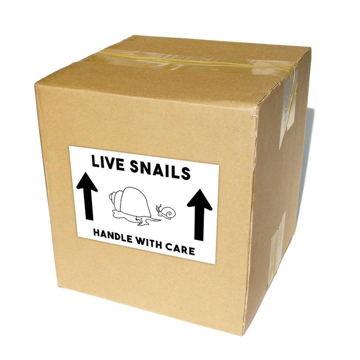 Live Snails Shipping Labels 4x6" - Windy City Aquariums