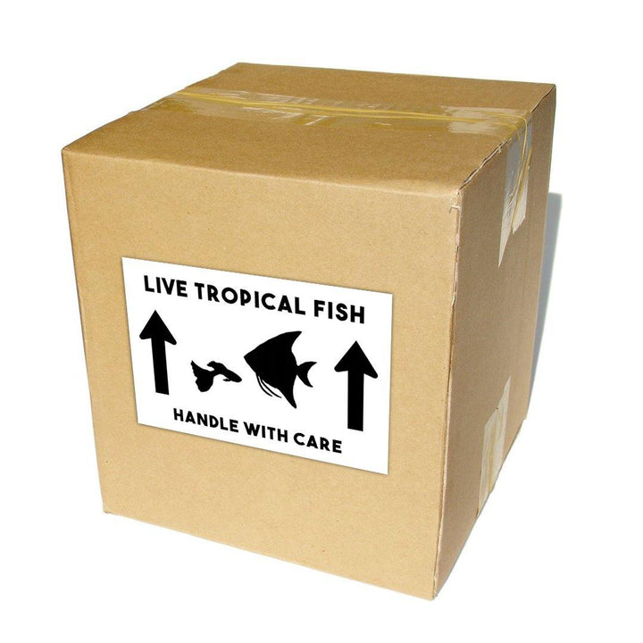 Live Tropical Fish Shipping Labels 4x6