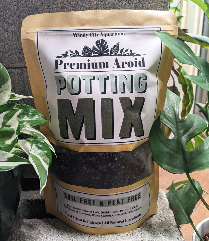 potting mix for aquarium Premium Aroid Potting Mix | Soil & Peat Free