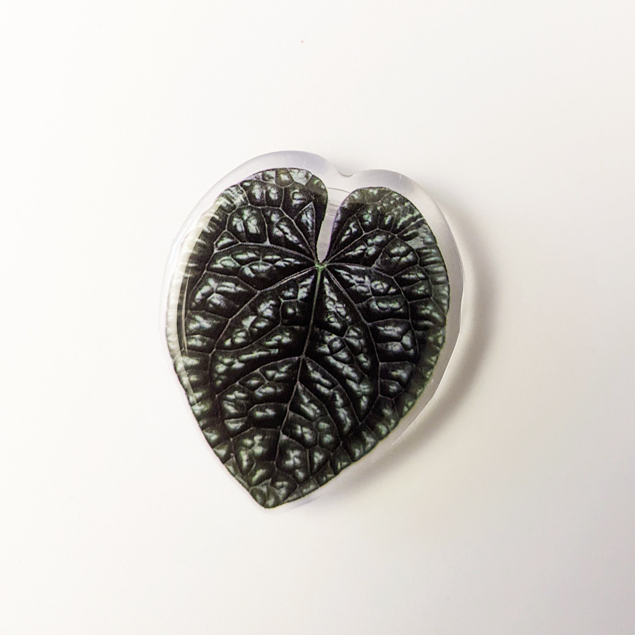 Rare Plant Leaf Phone Grip