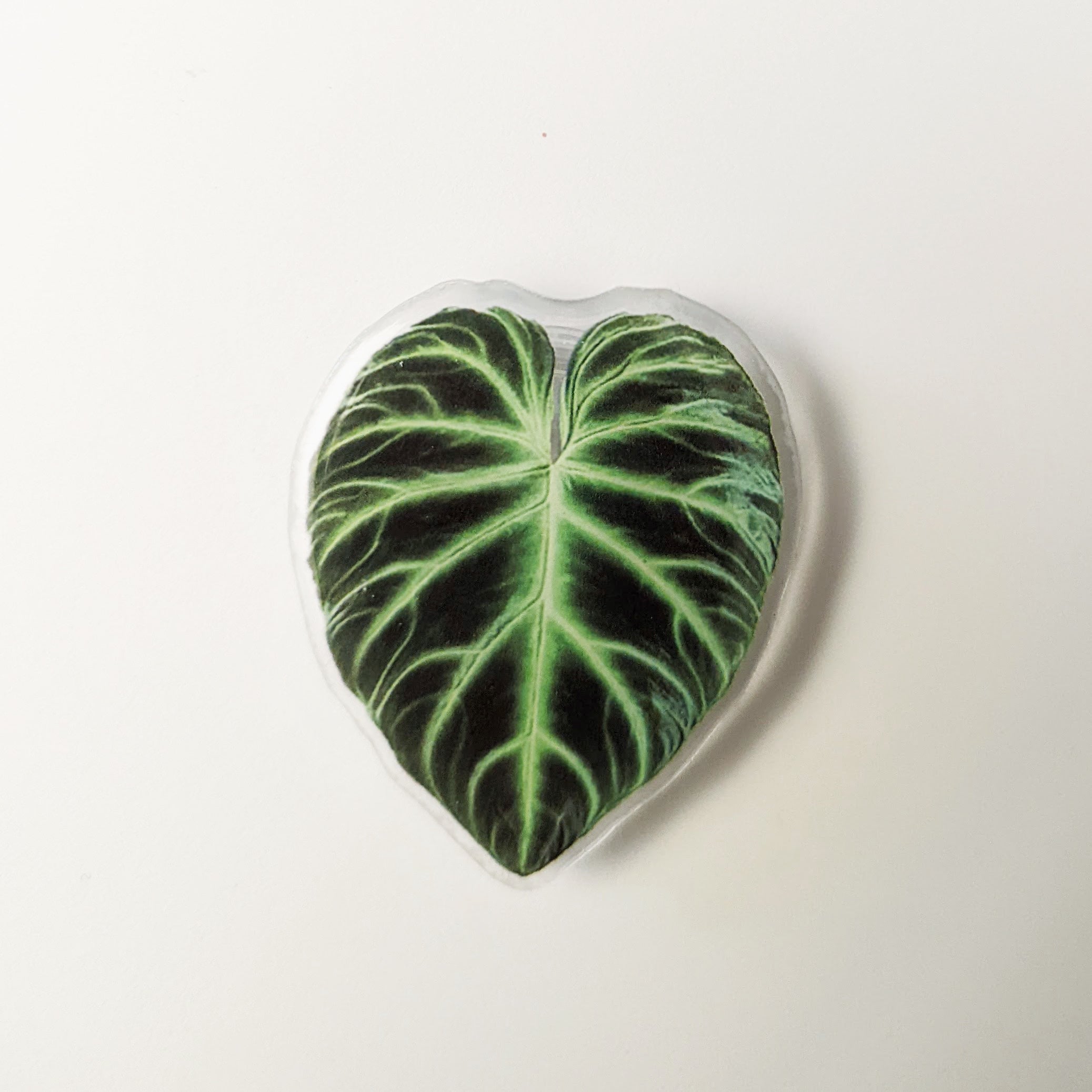 Rare Plant Leaf Phone Grip