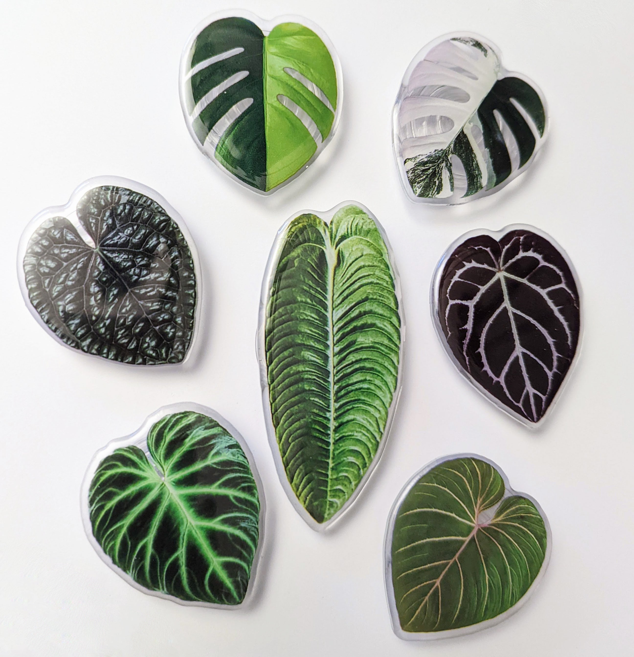 Rare Plant Leaf Phone Grip