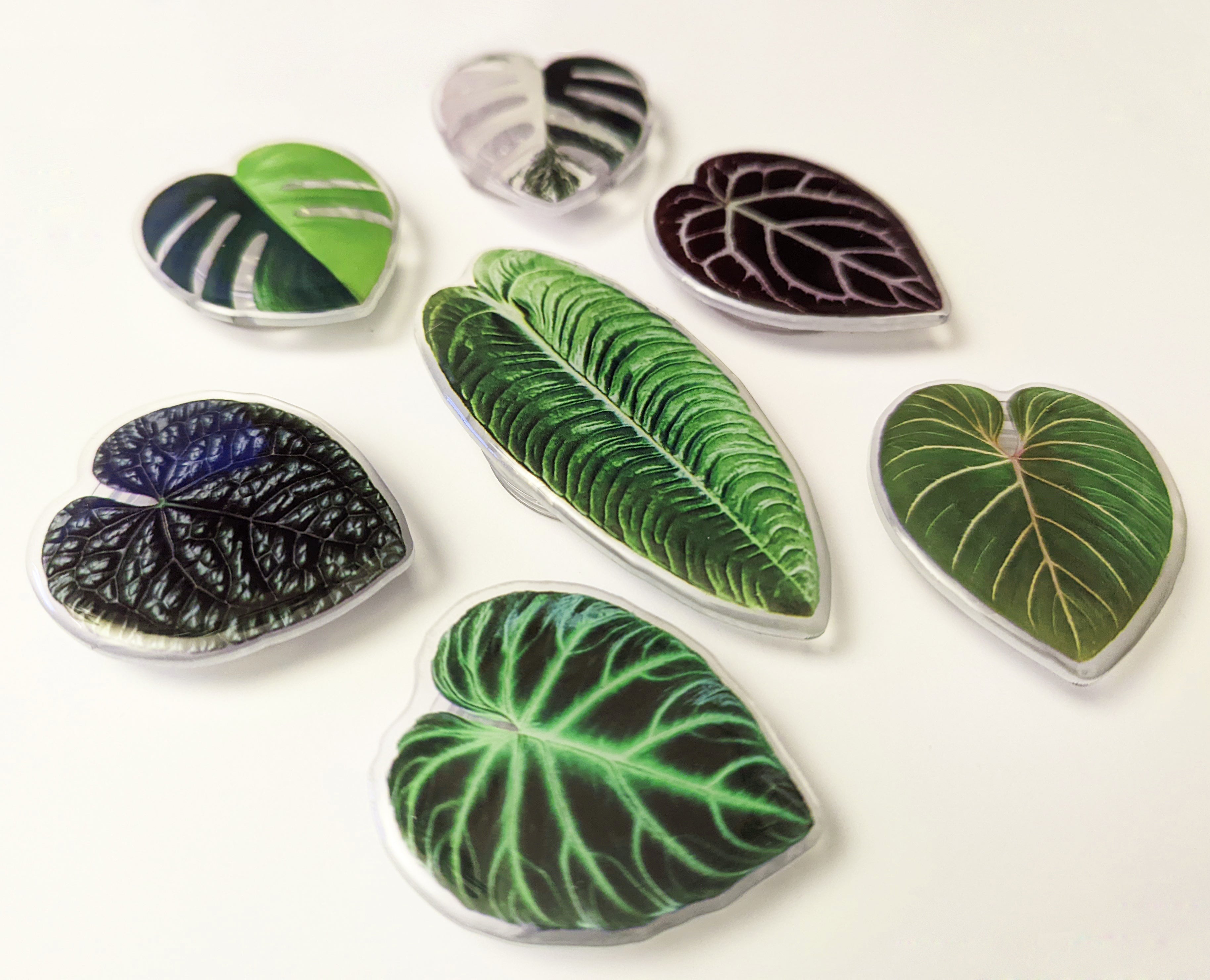 Rare Plant Leaf Phone Grip