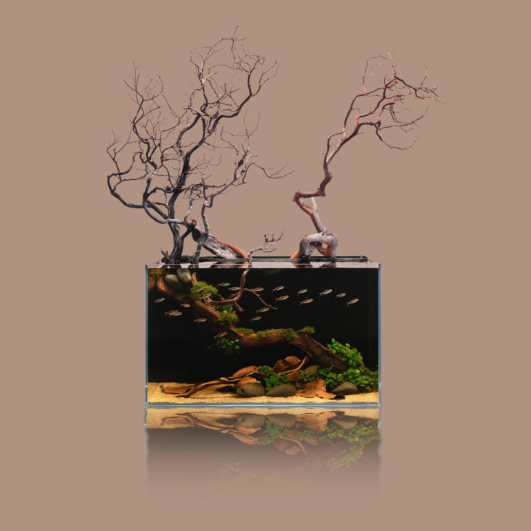 UNS Rimless All-In-One Aquariums