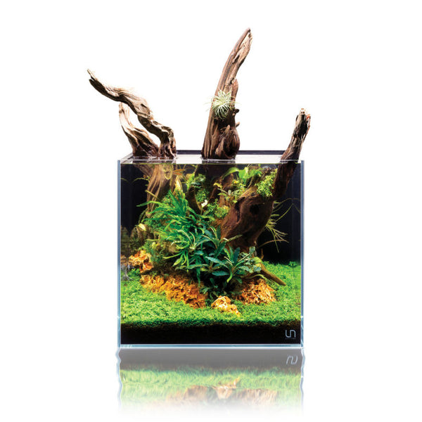 UNS Rimless All-In-One Aquariums
