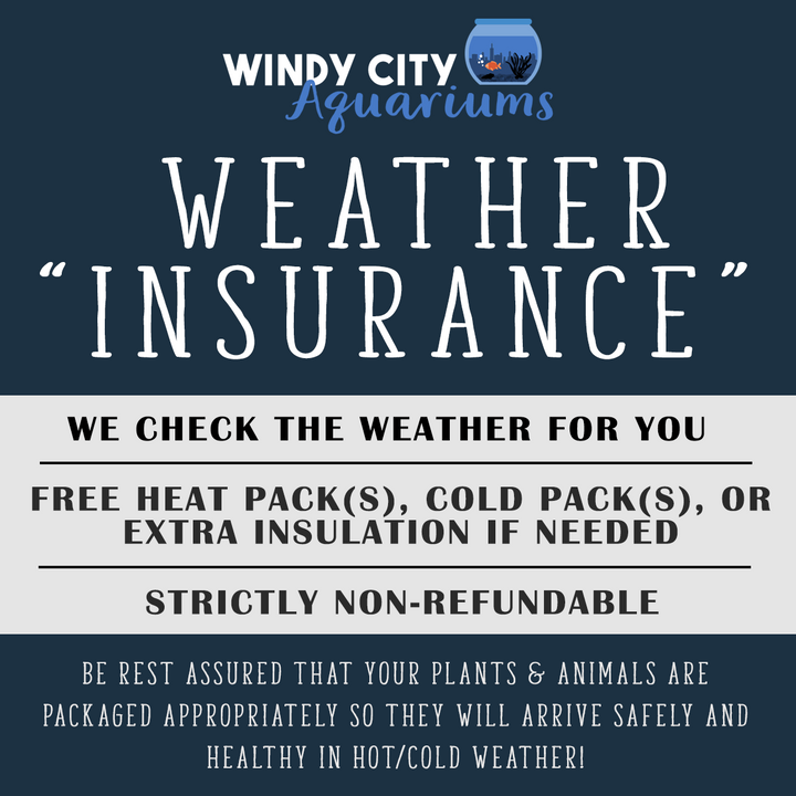 Weather Insurance - Windy City Aquariums