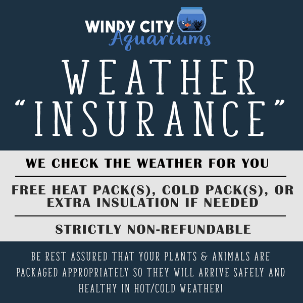 Weather Insurance - Windy City Aquariums