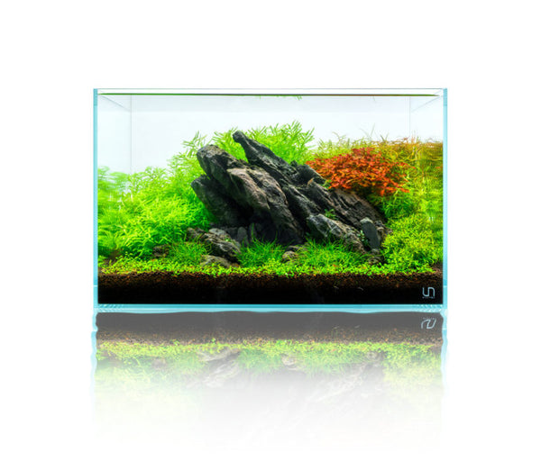 UNS Rimless Standard Aquariums